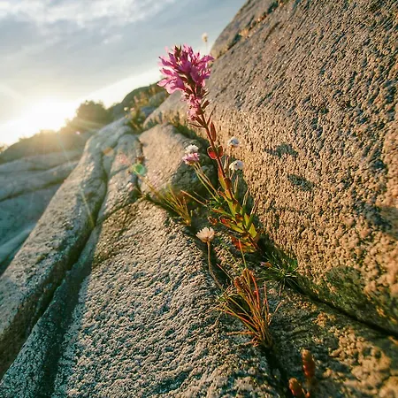 Bed & Breakfast Portor Pensjonat