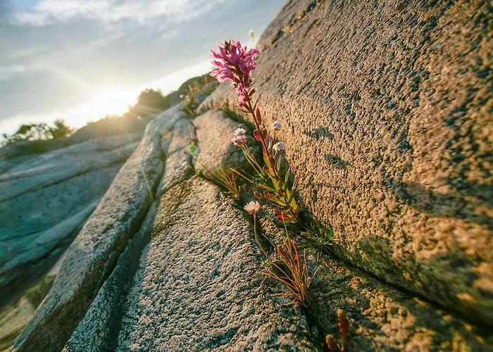 Bed & Breakfast Portor Pensjonat